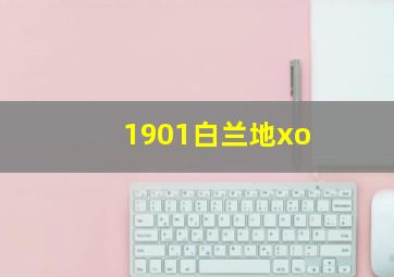 1901白兰地xo