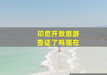 印尼开放旅游签证了吗现在