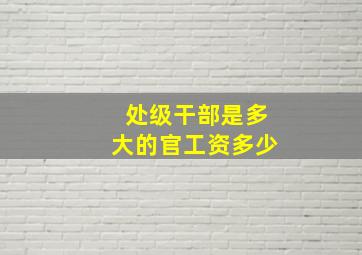 处级干部是多大的官工资多少