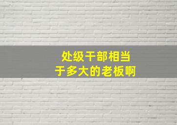 处级干部相当于多大的老板啊