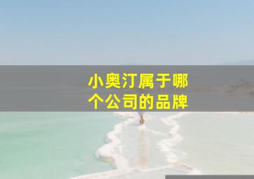 小奥汀属于哪个公司的品牌