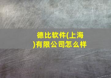 德比软件(上海)有限公司怎么样