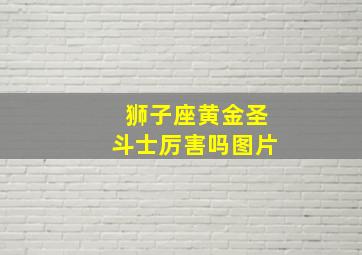 狮子座黄金圣斗士厉害吗图片