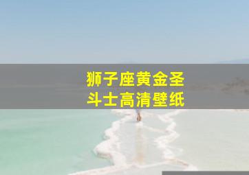 狮子座黄金圣斗士高清壁纸