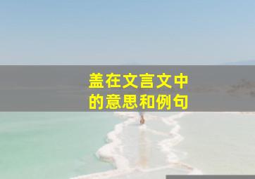 盖在文言文中的意思和例句