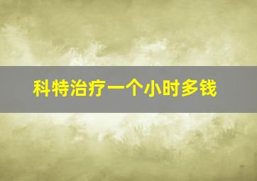 科特治疗一个小时多钱