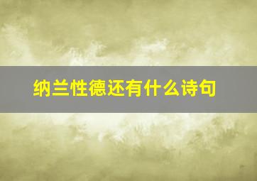 纳兰性德还有什么诗句