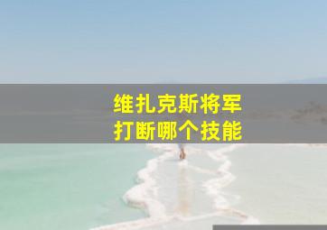 维扎克斯将军打断哪个技能