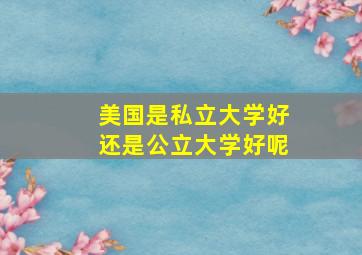 美国是私立大学好还是公立大学好呢