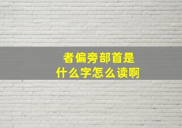 者偏旁部首是什么字怎么读啊