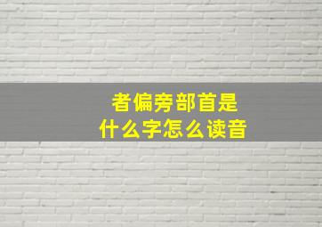 者偏旁部首是什么字怎么读音