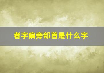 者字偏旁部首是什么字