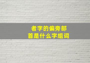 者字的偏旁部首是什么字组词