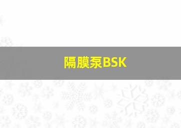 隔膜泵BSK