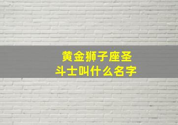 黄金狮子座圣斗士叫什么名字